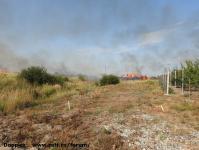 Imagine atasata: Incendiu Sag - 2017.07.10 - 09.jpg